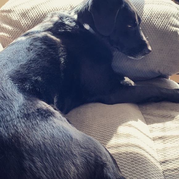 Meet your posher, Kim - Picture 10 of 12